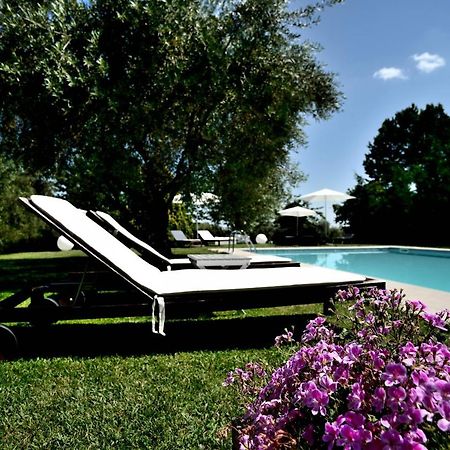Agriturismo Al Colle Bertinoro Zewnętrze zdjęcie
