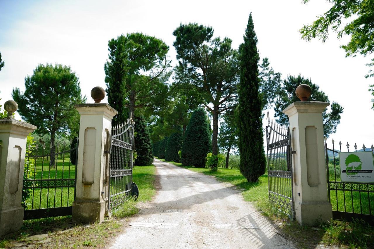 Agriturismo Al Colle Bertinoro Zewnętrze zdjęcie