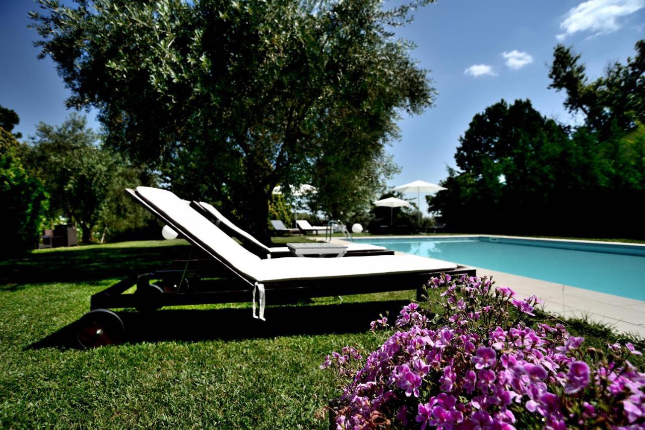Agriturismo Al Colle Bertinoro Zewnętrze zdjęcie