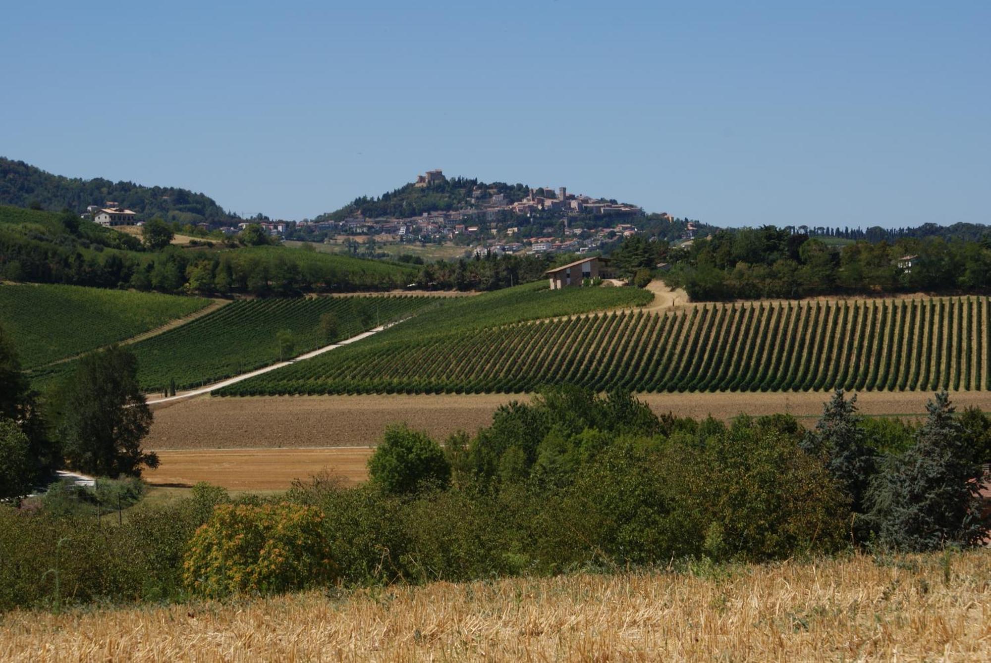 Agriturismo Al Colle Bertinoro Zewnętrze zdjęcie