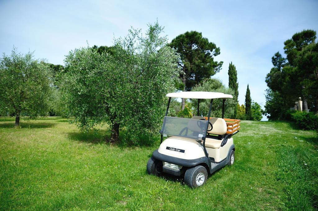 Agriturismo Al Colle Bertinoro Zewnętrze zdjęcie