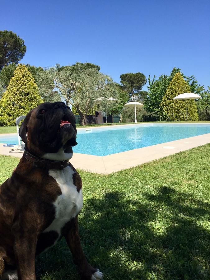 Agriturismo Al Colle Bertinoro Zewnętrze zdjęcie